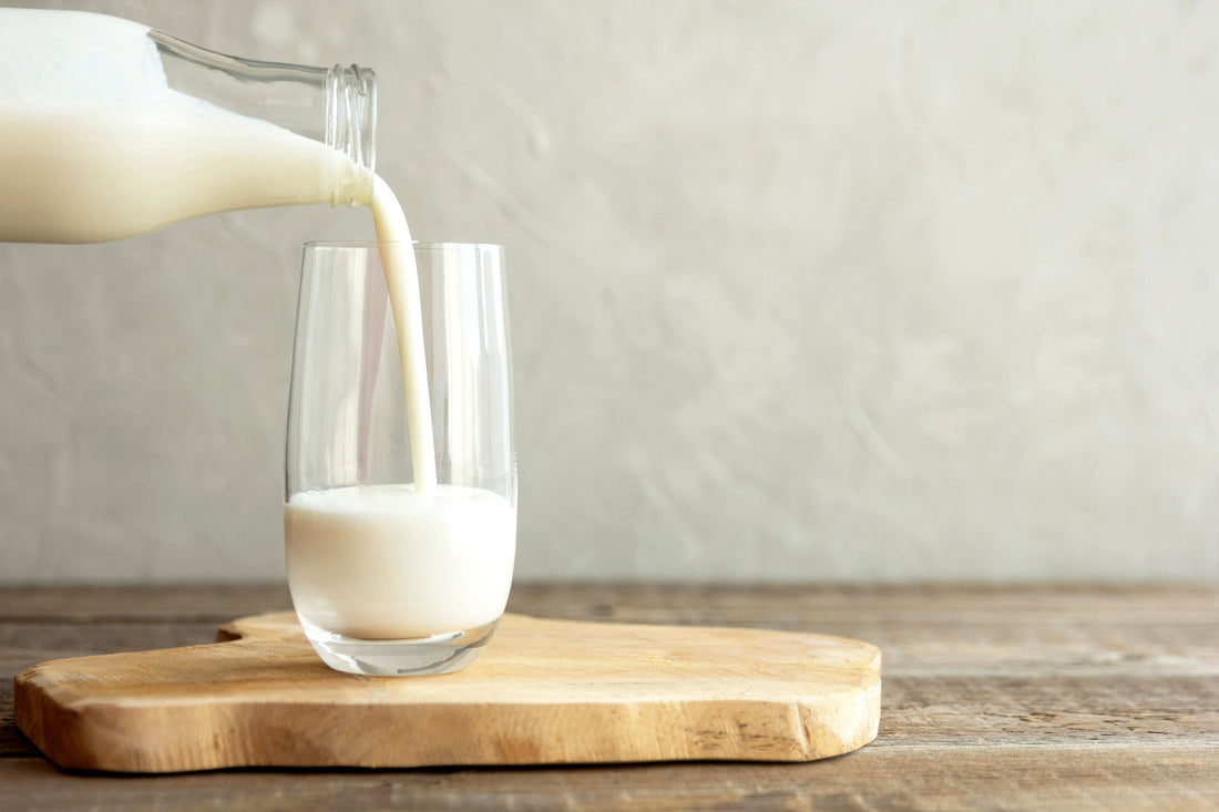 Rohmilch | IAMSTR® Nutrition