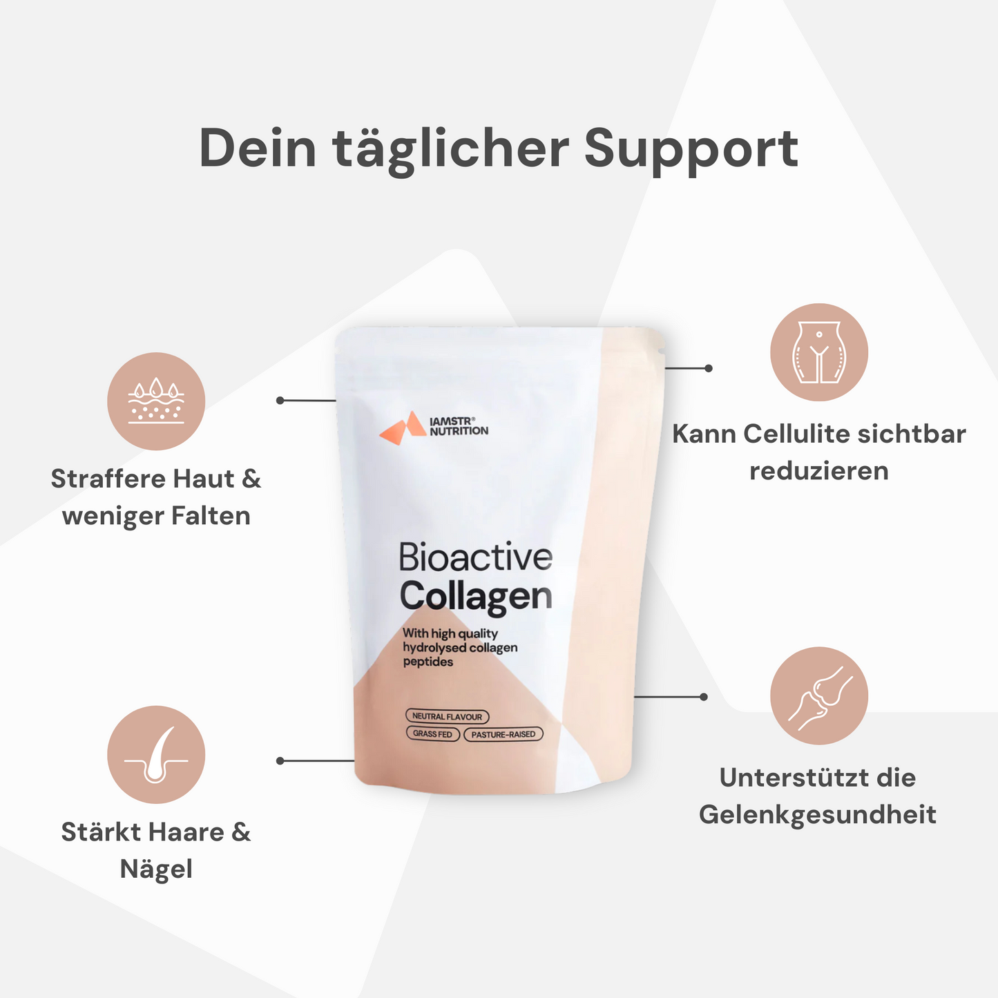 Bioactive Collagen