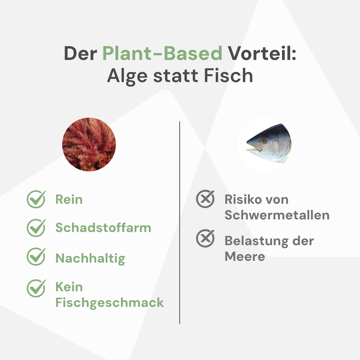 Omega-3 Plus mit Astaxanthin