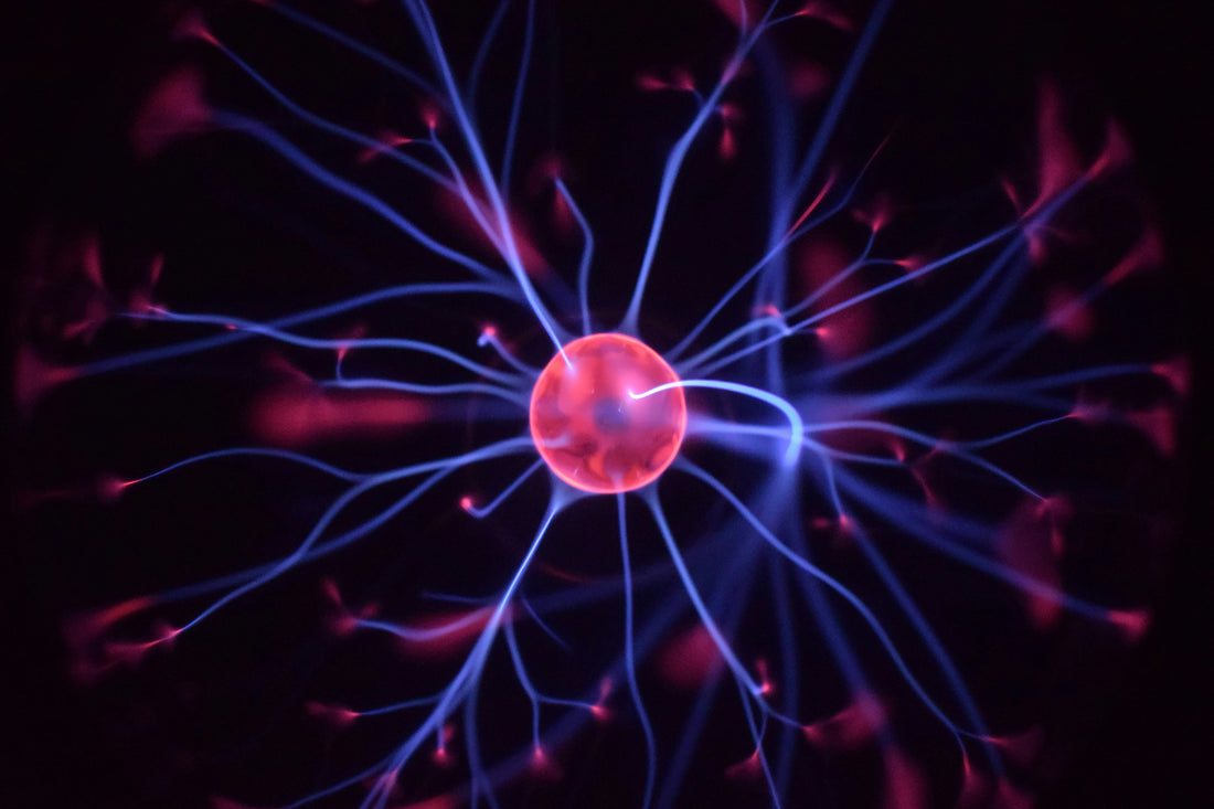 Nervensystem | IAMSTR® Nutrition