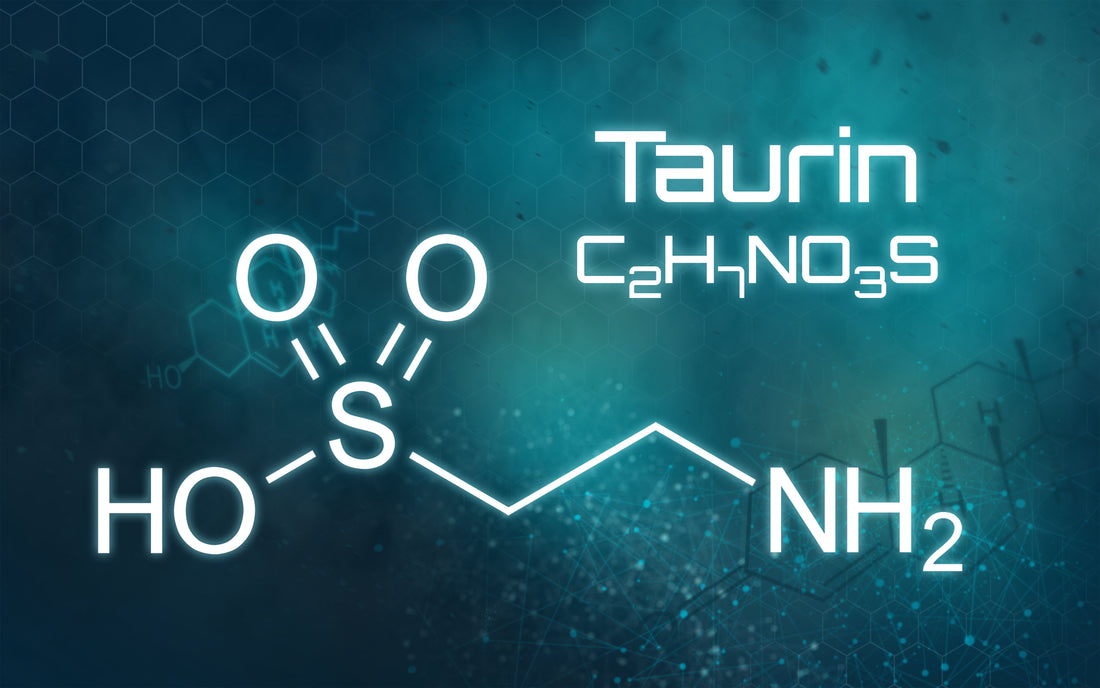 Taurin | IAMSTR® Nutrition