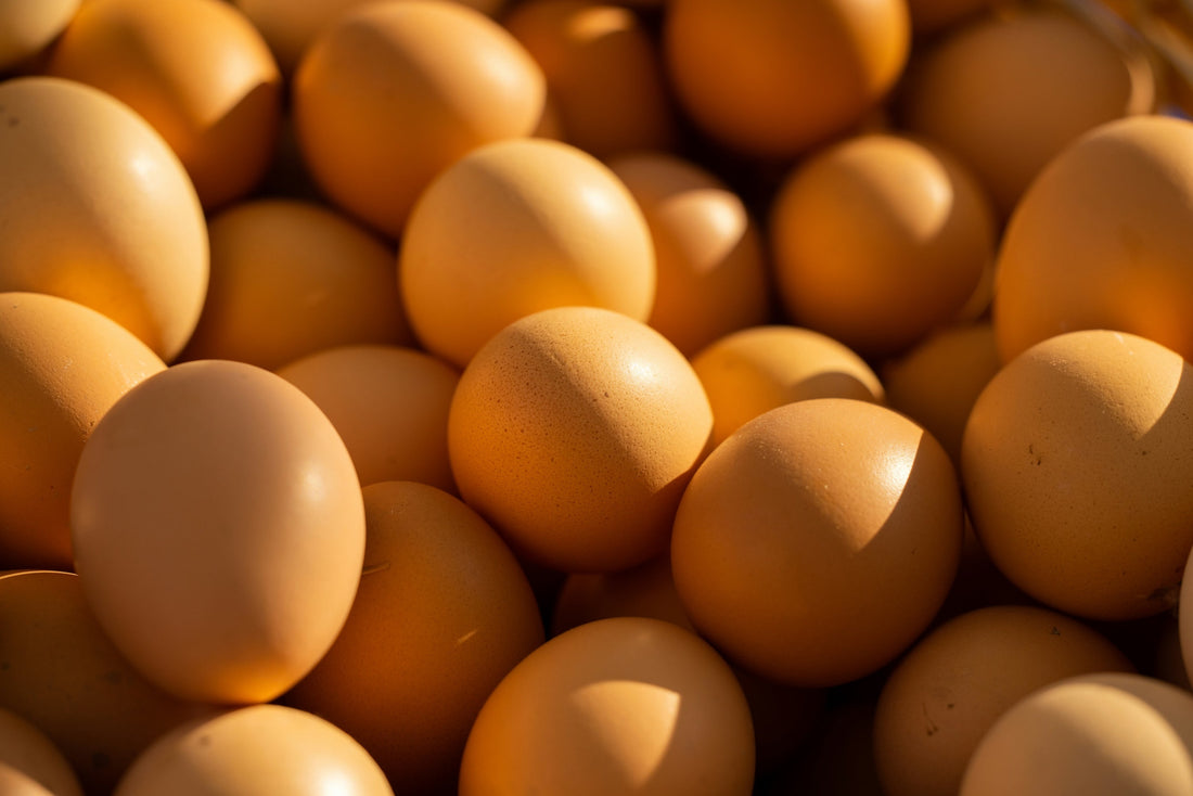 Eier