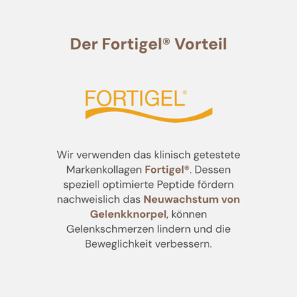 Protein Support 420g
